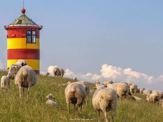 Ostfriesland Küstenlandschaft & Gemütlichkeit