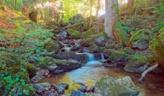 Frühling im Hotzenwald